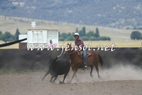 AdaminabyCampdraft2014_1080