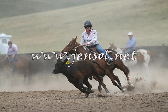AdaminabyCampdraft2014_1116