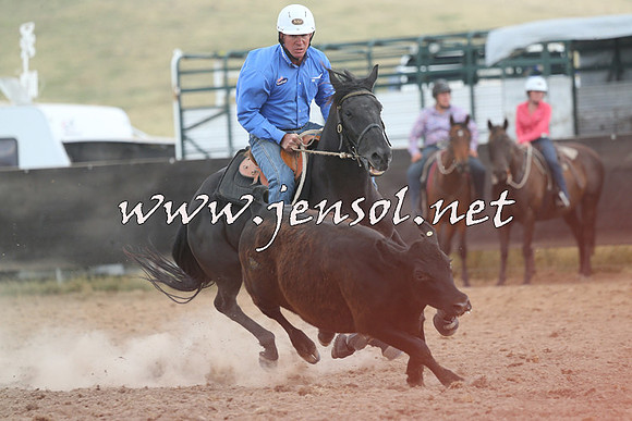 AdaminabyCampdraft2014_1159
