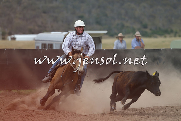 AdaminabyCampdraft2014_1185
