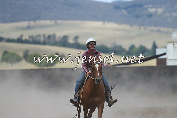 AdaminabyCampdraft2014_1086