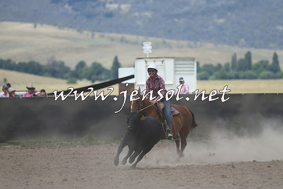 AdaminabyCampdraft2014_1078