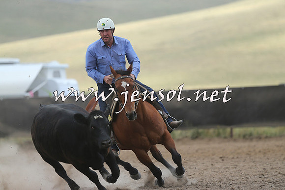 AdaminabyCampdraft2014_1130