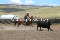 AdaminabyCampdraft2014_0954-1