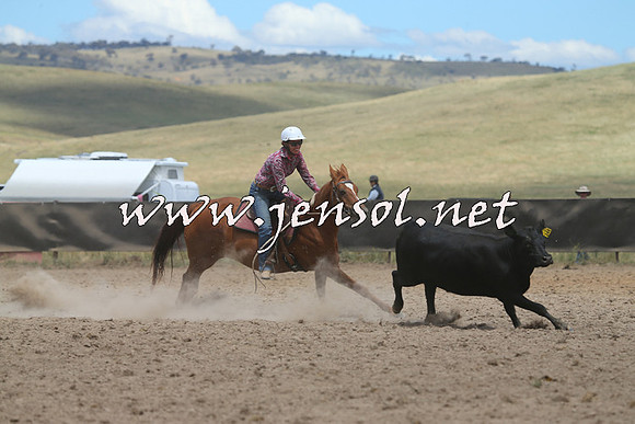 AdaminabyCampdraft2014_0954-1