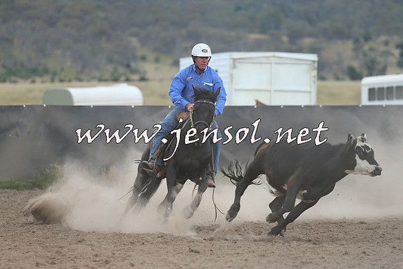 AdaminabyCampdraft2014_1098