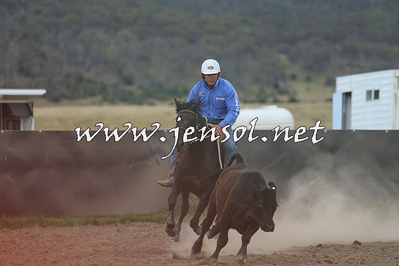 AdaminabyCampdraft2014_1155