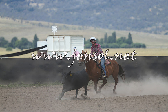 AdaminabyCampdraft2014_1082