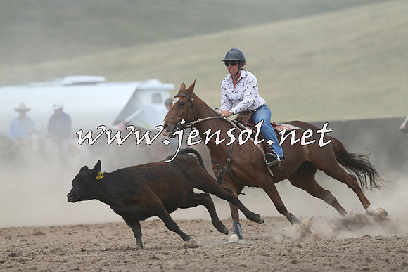 AdaminabyCampdraft2014_1113