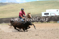 AdaminabyCampdraft2014_1062