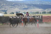 AdaminabyCampdraft2014_1075