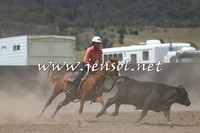 AdaminabyCampdraft2014_1058