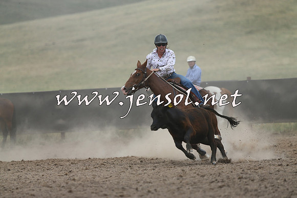 AdaminabyCampdraft2014_1114