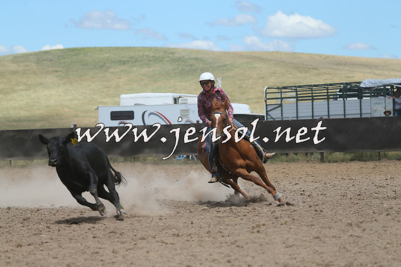 AdaminabyCampdraft2014_1071