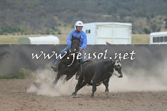 AdaminabyCampdraft2014_1101