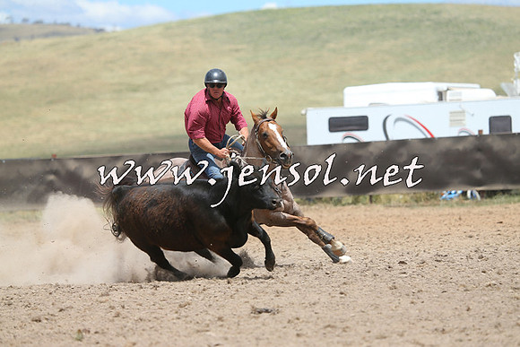 AdaminabyCampdraft2014_1064