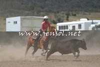 AdaminabyCampdraft2014_1060