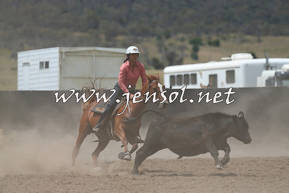 AdaminabyCampdraft2014_1060