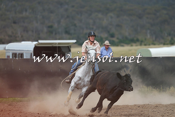 AdaminabyCampdraft2014_1165