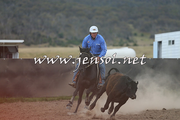 AdaminabyCampdraft2014_1157