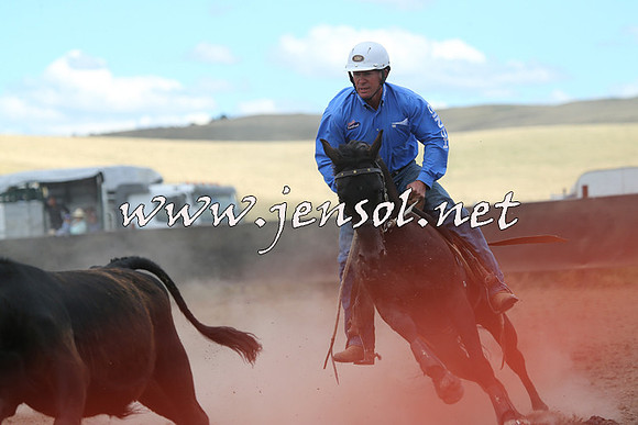 AdaminabyCampdraft2014_1118