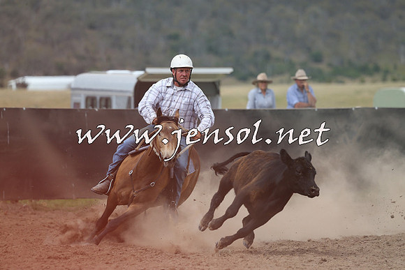 AdaminabyCampdraft2014_1186
