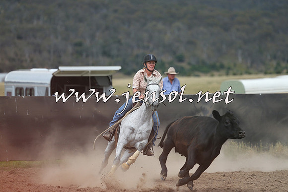 AdaminabyCampdraft2014_1164