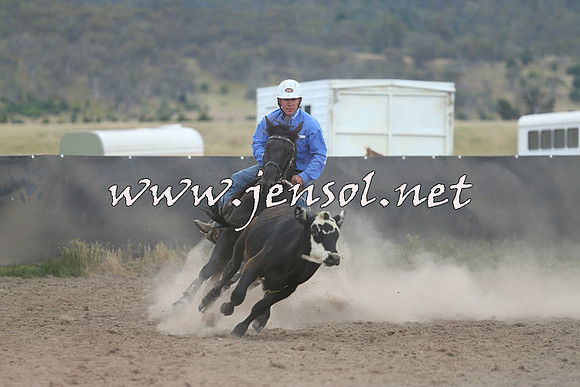 AdaminabyCampdraft2014_1100