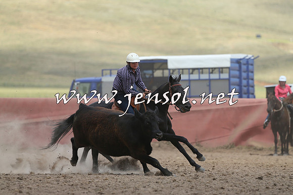 AdaminabyCampdraft2014_1143