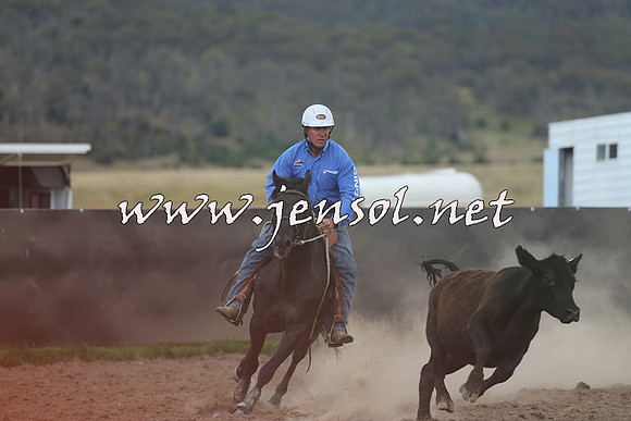 AdaminabyCampdraft2014_1154