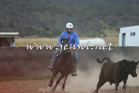 AdaminabyCampdraft2014_1153