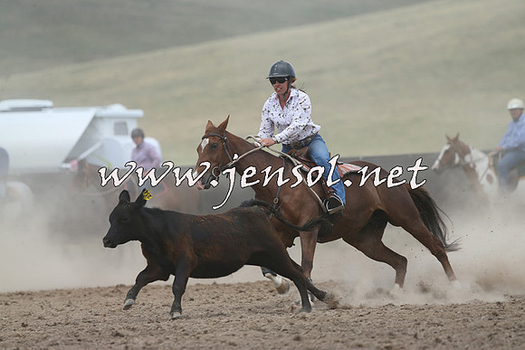 AdaminabyCampdraft2014_1112