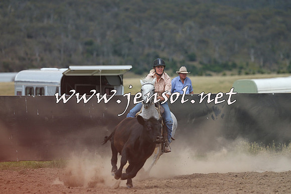 AdaminabyCampdraft2014_1166