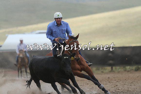AdaminabyCampdraft2014_1127