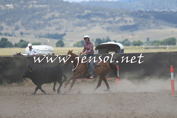 AdaminabyCampdraft2014_1074