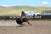 AdaminabyCampdraft2014_0952-1