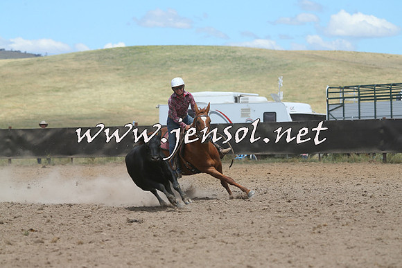AdaminabyCampdraft2014_0952-1