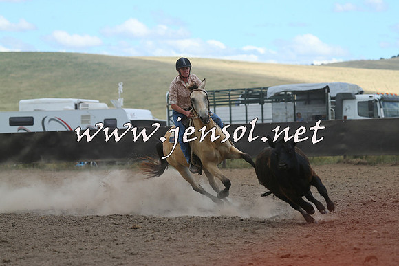 AdaminabyCampdraft2014_1134