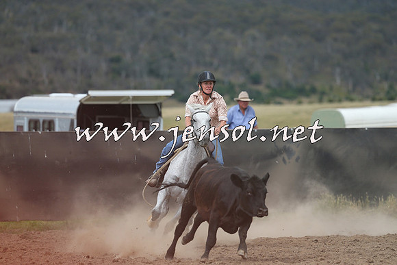 AdaminabyCampdraft2014_1167