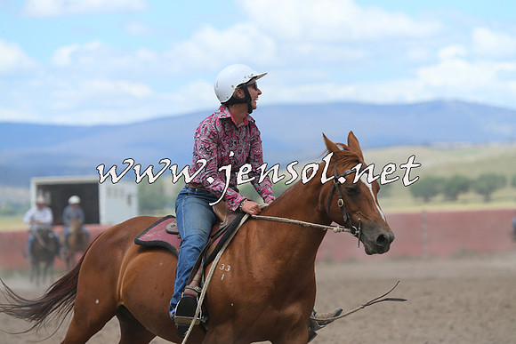 AdaminabyCampdraft2014_1091