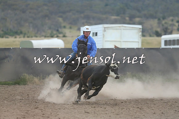 AdaminabyCampdraft2014_1102