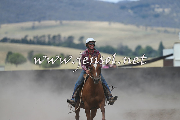 AdaminabyCampdraft2014_1085