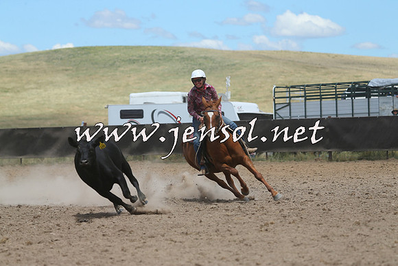 AdaminabyCampdraft2014_1070