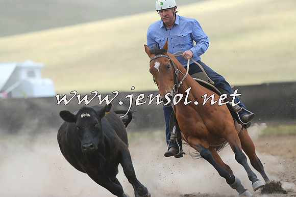 AdaminabyCampdraft2014_1126