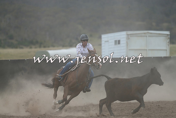 AdaminabyCampdraft2014_1107