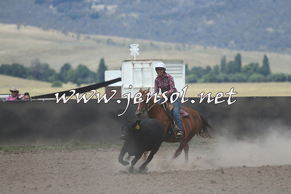 AdaminabyCampdraft2014_1079