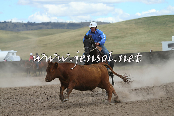 AdaminabyCampdraft2014_1183