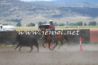 AdaminabyCampdraft2014_1077