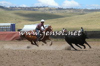 AdaminabyCampdraft2014_0953-1