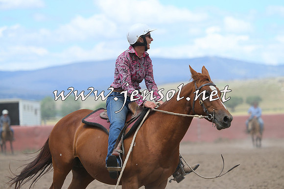 AdaminabyCampdraft2014_1089
